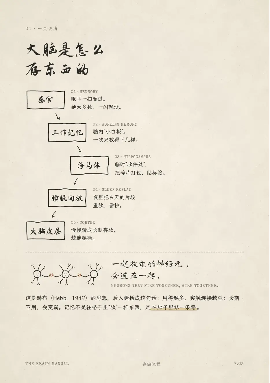 大脑说明书 第 3 页